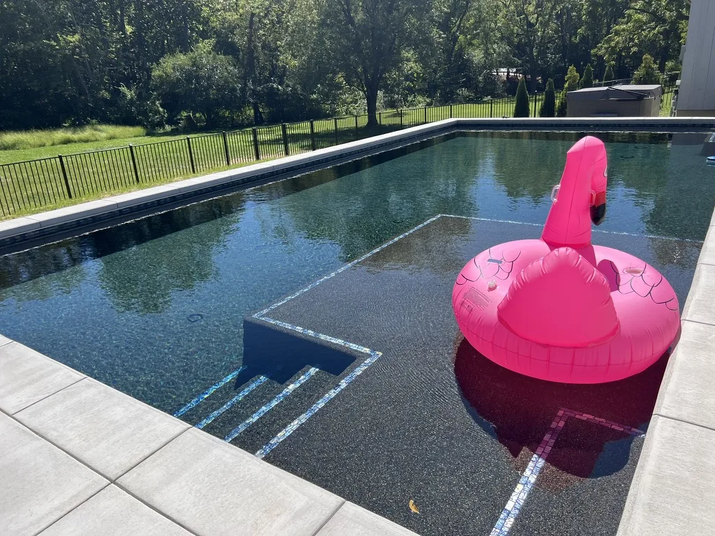 Custom Pool in Ambler, PA