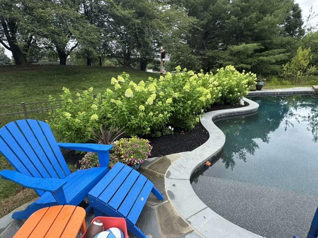 Gunite pool construction in Blue Bell PA — Scott Payne Custom Pools