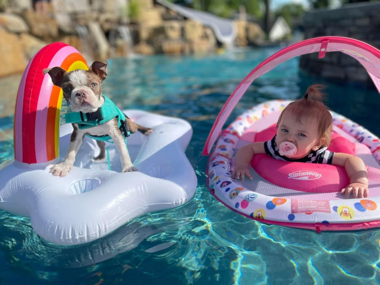 Mike Molchan's pool — baby and dog on floats