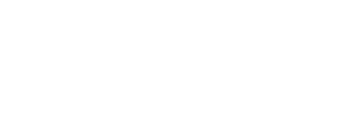 Pebble Technology International