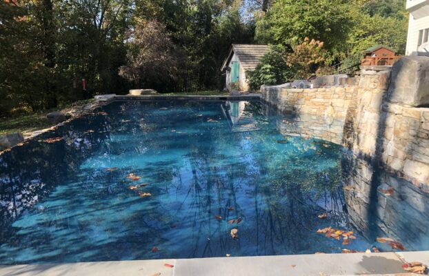 How to Prevent Leaves From Getting In Your Pool 