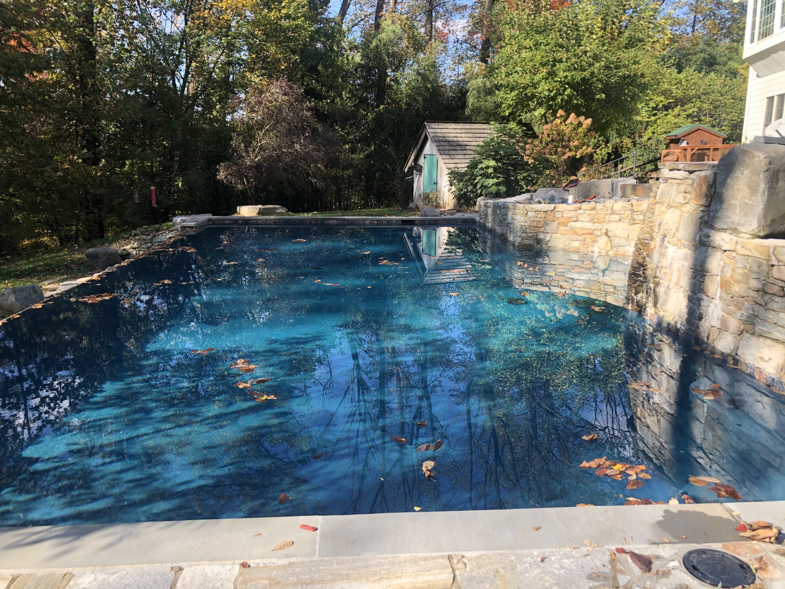 How to Prevent Leaves From Getting In Your Pool 