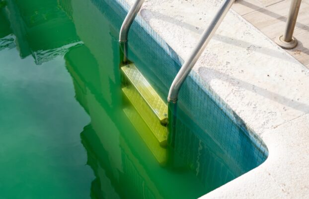 Addressing Algae and Water Clarity Issues When Reopening Your Pool in Spring