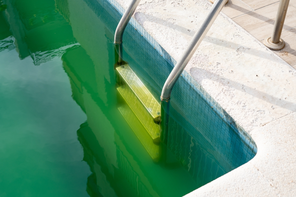 Addressing Algae and Water Clarity Issues When Reopening Your Pool in Spring